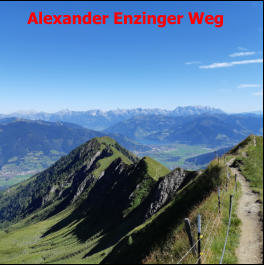 Alexander Enzinger Weg