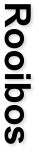 Rooibos