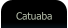Catuaba