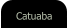 Catuaba